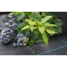 Агротканина 100 г/м² Bonro 1,1x50 м чорна