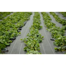 Агротканина 100 г/м² Bonro 1,1x50 м чорна