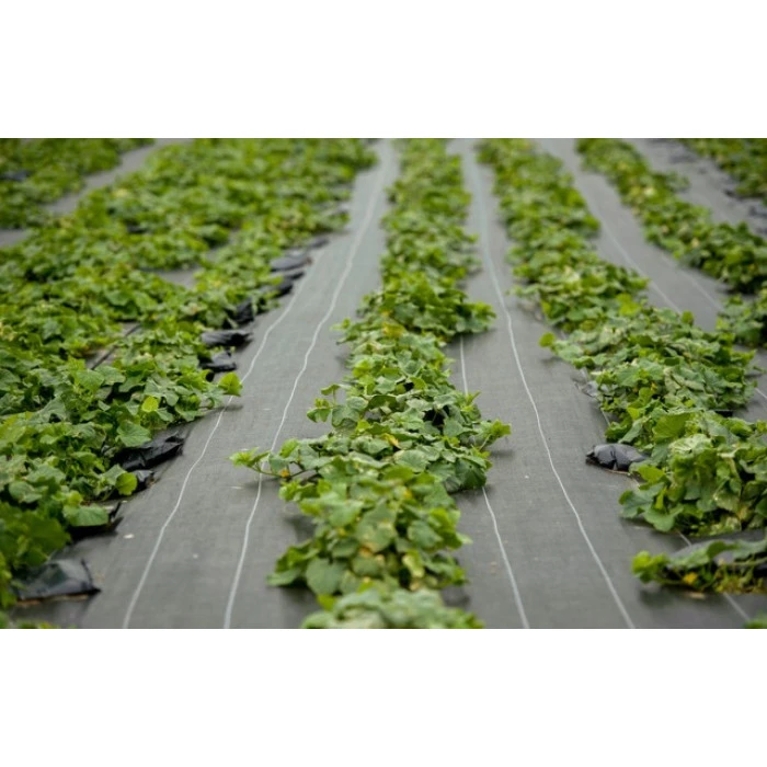 Агротканина 100 г/м² Bonro 1,1x50 м чорна