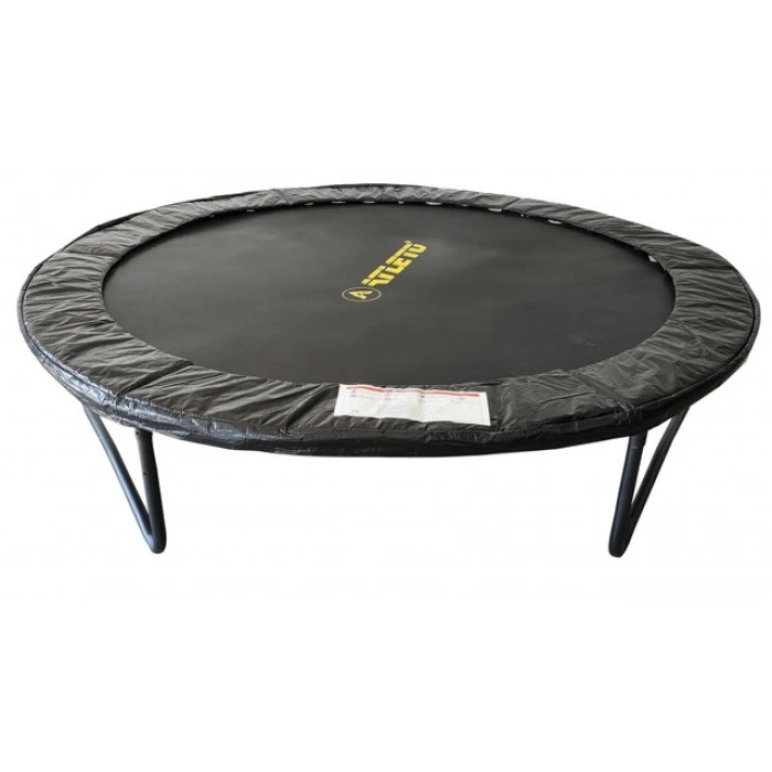 Батут з сіткою та драбинкою 252 см Atleto Black