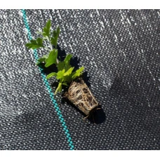 Агротканина 100 г/м² Bonro 1,7x50 м чорна