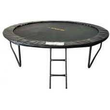 Батут з сіткою та драбинкою 312 см Atleto Black