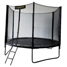 Батут з сіткою та драбинкою 312 см Atleto Black