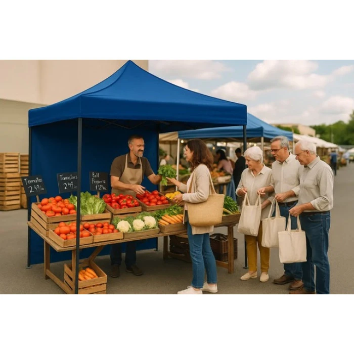 Намет павільйон розсувний з стінками 3 х 3 м Bonro B-9004 синій + сумка