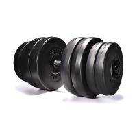 Гантелі Elitum 2 х 31кг