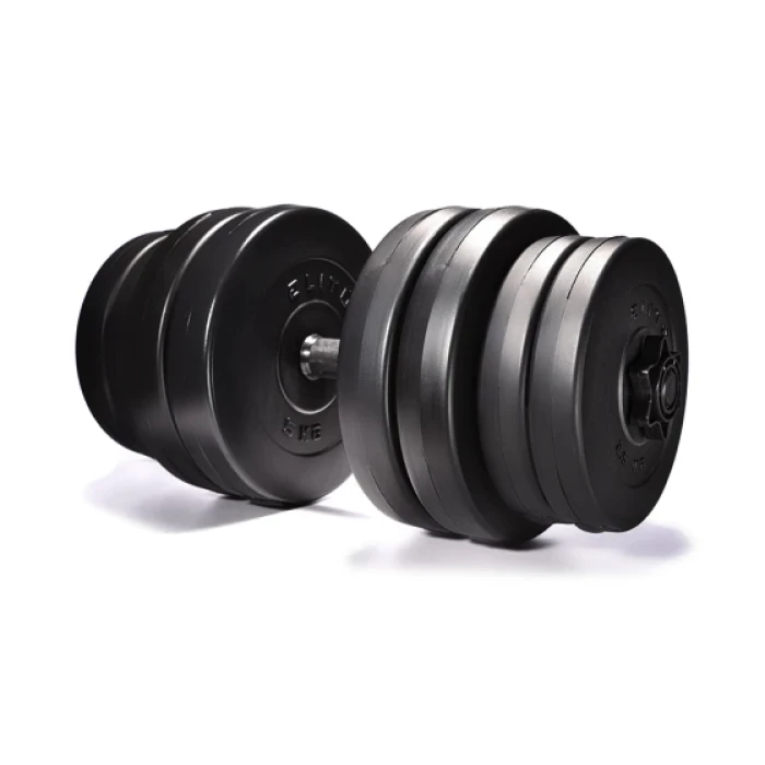 Гантелі Elitum 2 х 31кг