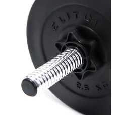 Гантелі Elitum 2 х 31кг