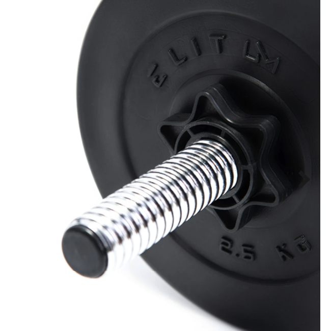 Гантелі Elitum 2 х 31кг