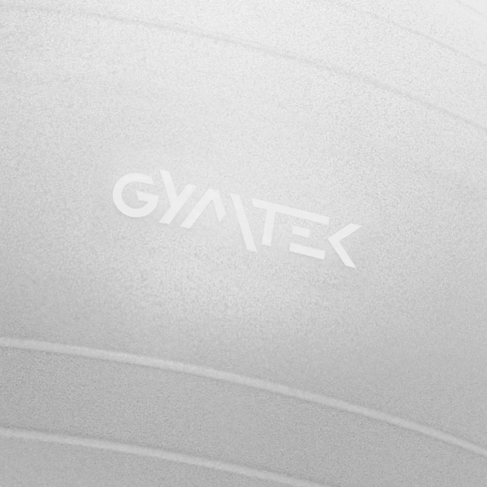 Фітбол Queenfit 65см сірий + насос