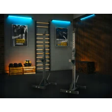 Стійки під штангу Trex Sport TX-090S регульовані