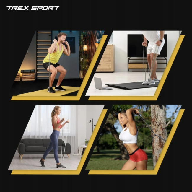 Набір резинок для фітнесу Trex Sport TX-004PB 4в1 2-41кг