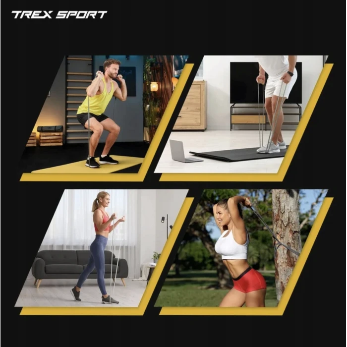 Набір резинок для фітнесу Trex Sport TX-004PB 4в1 2-41кг