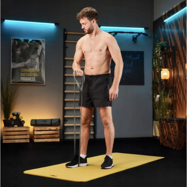 Набір резинок для фітнесу Trex Sport TX-004PB 4в1 2-41кг