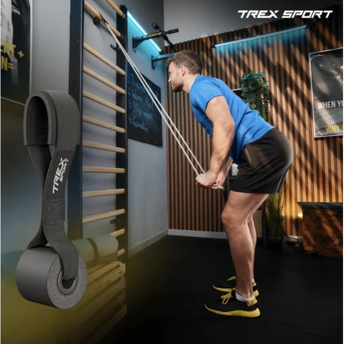 Набір резинок для фітнесу Trex Sport TX-004PB 4в1 2-41кг