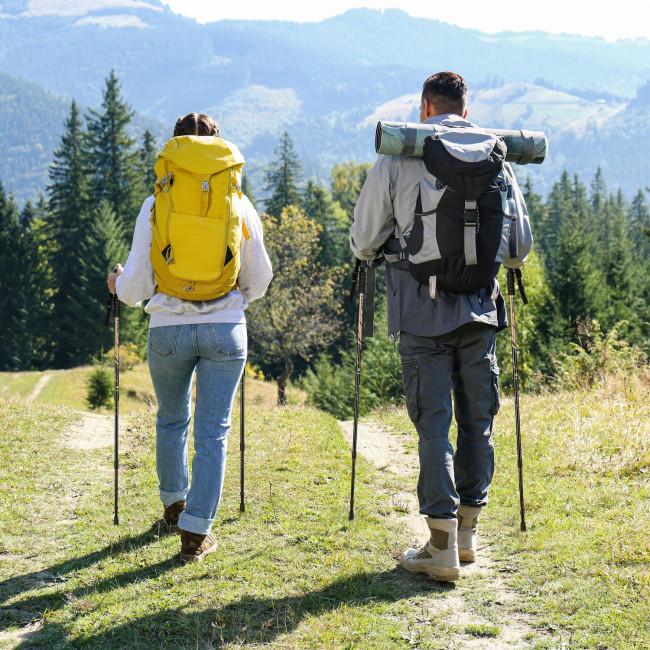 Трекінгові палки Outtec алюмінієві 3-х секційні 65-135см Anti-shock