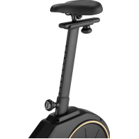 Велотренажер Gymtek XB2500 электромагнитный золотистый