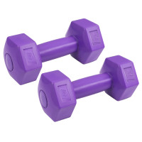 Гантели для фитнеса композитные Hop-Sport HS-C010DH 2х1кг