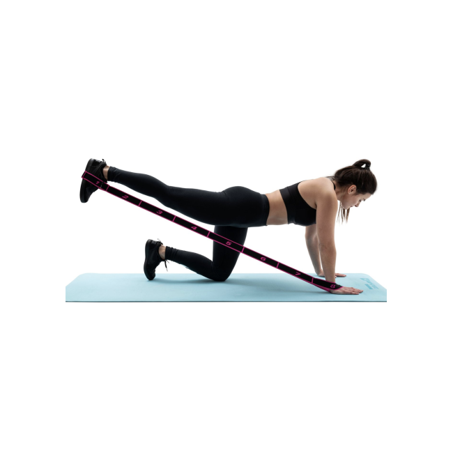 Резинка для фитнеса с петлями 12-30кг HS-N904GB розовая