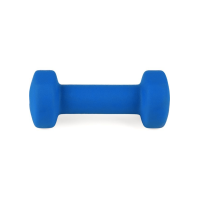 Гантели для фитнеса неопреновые Queenfit 2х1,5кг светло-синий