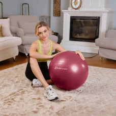 Фітбол Hop-Sport 45см HS-R045YB сливовий + насос