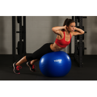 Фітбол York Fitness 65см синій + насос