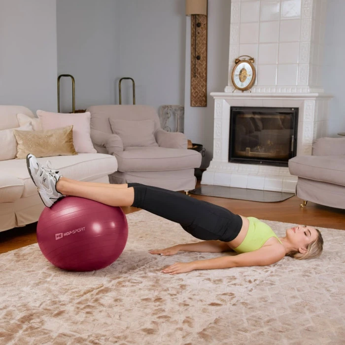 Фітбол Hop-Sport 45см HS-R045YB сливовий + насос