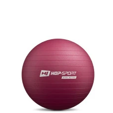 Фітбол Hop-Sport 45см HS-R045YB сливовий + насос