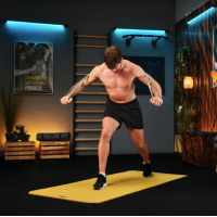 Набір резинок для фітнесу Trex Sport TX-003PB 3в1 2-30кг