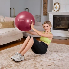 Фітбол Hop-Sport 45см HS-R045YB сливовий + насос