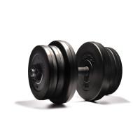 Гантелі Elitum 2 х 21кг