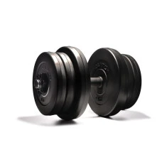 Гантелі Elitum 2 х 21кг