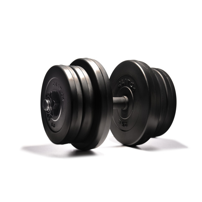 Гантелі Elitum 2 х 21кг