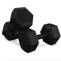 Гантелі для фітнесу композитні Hop-Sport HS-C100DS 2х10кг чорний