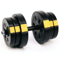 Гантелі розбірні Besport PowerPro 2х21кг