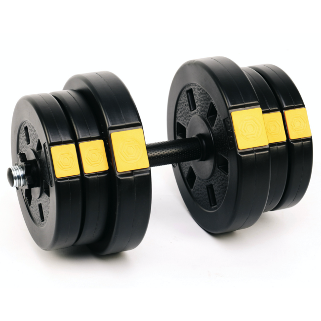 Гантели разборные Besport PowerPro 2х21кг