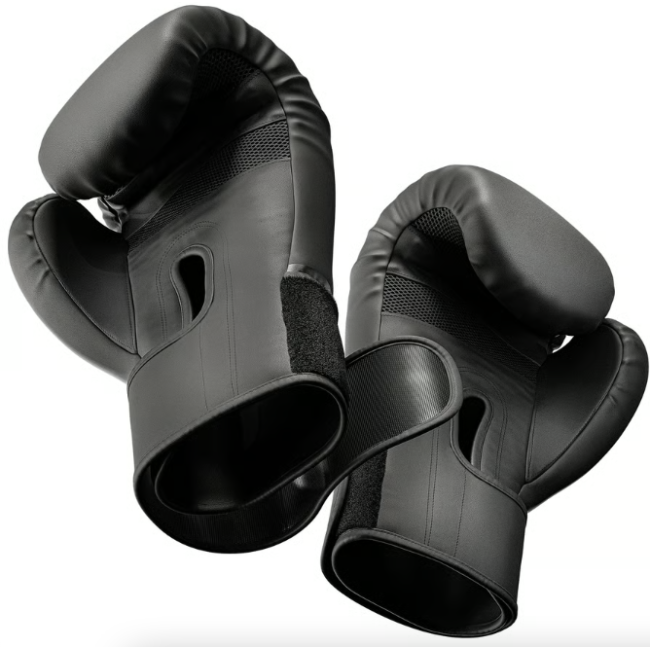 Боксерські рукавиці Hop-Sport HS-BG10 10oz чорні