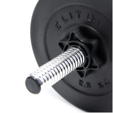 Гантелі Elitum 2 х 26кг