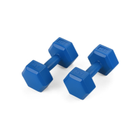 Гантели для фитнеса композитные Gymtek 2х2кг светло-синий