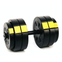 Гантели разборные Besport PowerPro 2х26кг