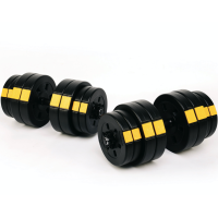 Гантели разборные Besport PowerPro 2х31кг