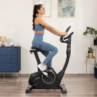 Велотренажер Gymtek XB4000 iConsole+ електромагнітний золотий