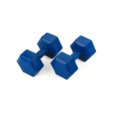 Гантели для фитнеса композитные Gymtek 2х5кг темно-синий