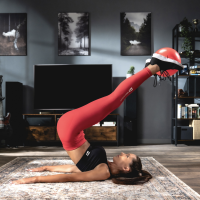 Фитбол Hop-Sport 25см красный