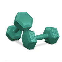 Гантелі для фітнесу композитні Hop-Sport HS-C010DS 2х1кг бірюзовий