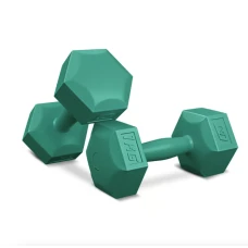 Гантели для фитнеса композитные Hop-Sport HS-C010DS 2х1кг бирюзовый
