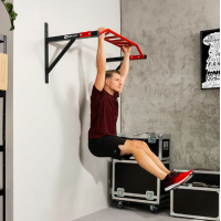 Турнік настінний мультихват Hop-Sport HS-2002K із рукавичками