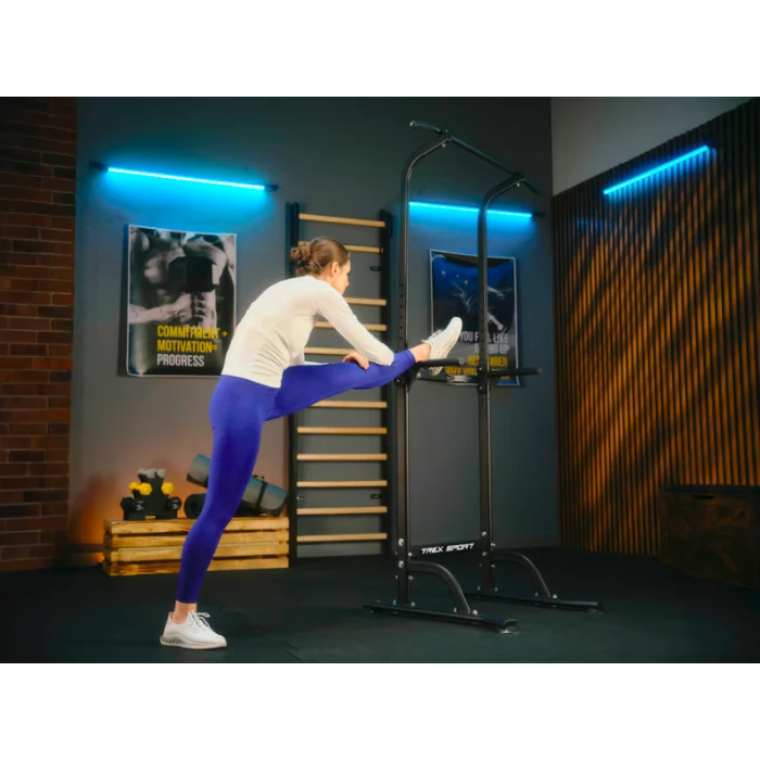 Силова станція турнік-бруси Trex Sport TX-060PR
