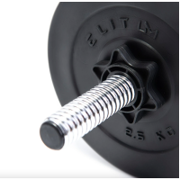 Гантель композитный ELITUM 31кг