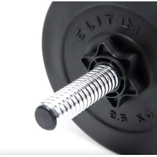 Гантель композитный ELITUM 31кг