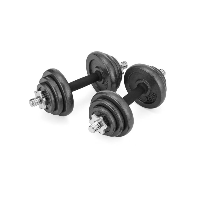 Набор гантели в кейсе Gymtek чугунные 2х10кг.